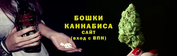 соль ск Абаза