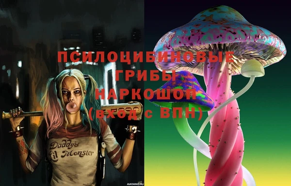 гидропоника Абдулино