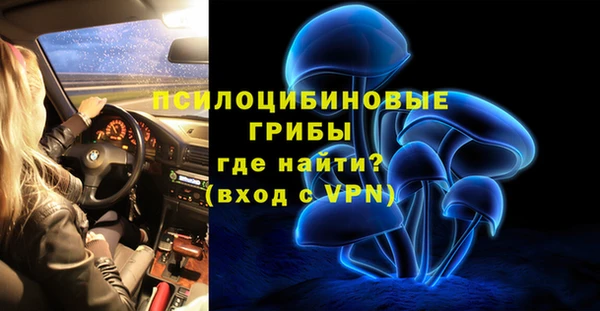 соль ск Абаза