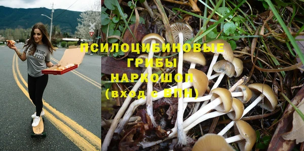 гидропоника Абдулино